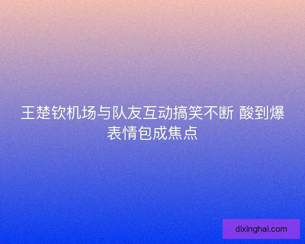 王楚钦机场与队友互动搞笑不断 酸到爆表情包成焦点